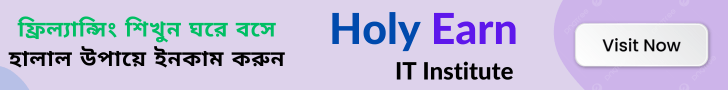 holy earn ads