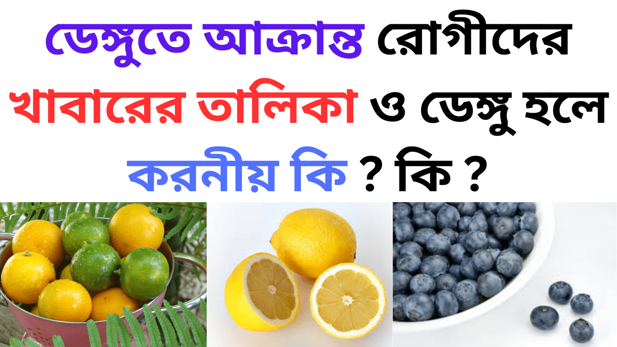2024-25 সালের ডেঙ্গুতে আক্রান্ত রোগীদের খাবারের তালিকা ও ডেঙ্গু হলে করনীয় কি?