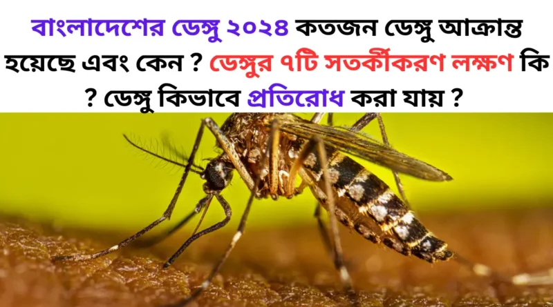 বাংলাদেশের ডেঙ্গু ২০২৪