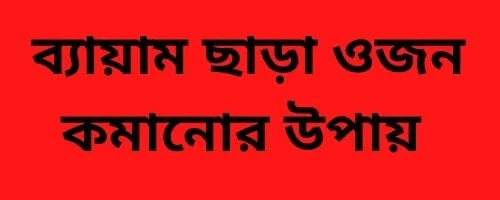 ব্যায়াম ছাড়া ওজন কমানোর উপায়