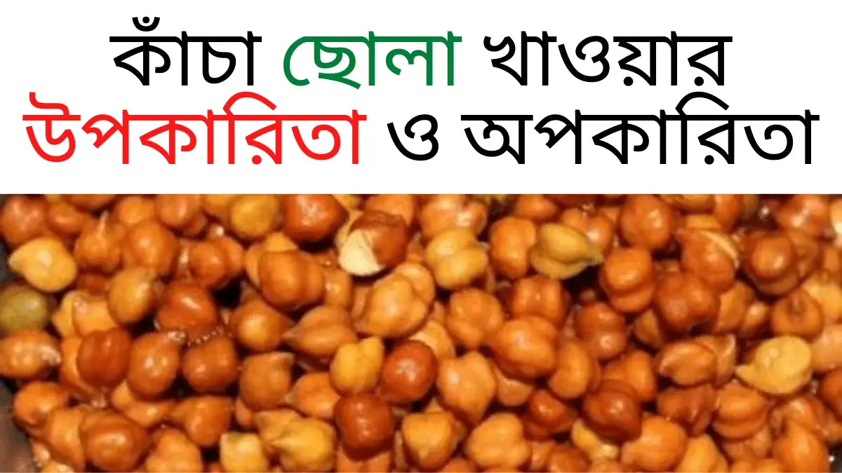কাঁচা ছোলা খাওয়ার উপকারিতা ও অপকারিতা