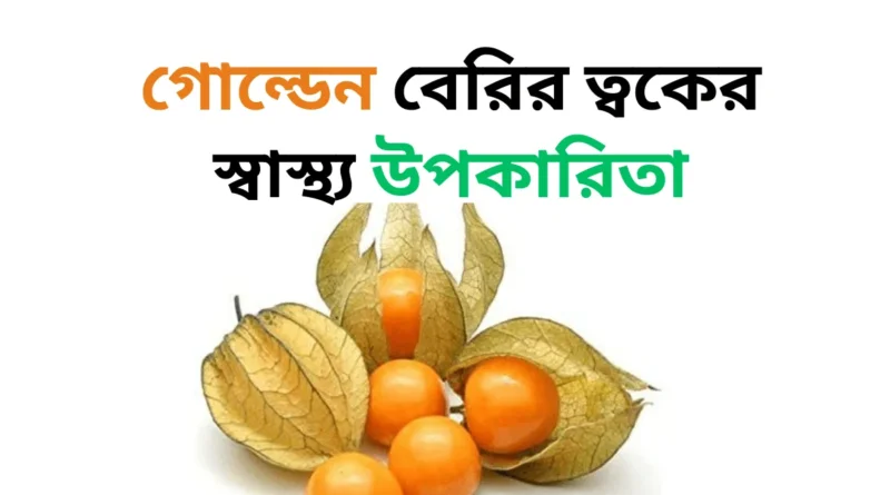 গোল্ডেন বেরির ত্বকের স্বাস্থ্য উপকারিতা